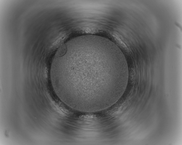 X0000091290639200708171346