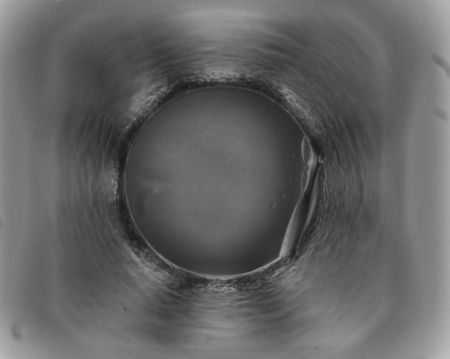 X0000091290640200708171346