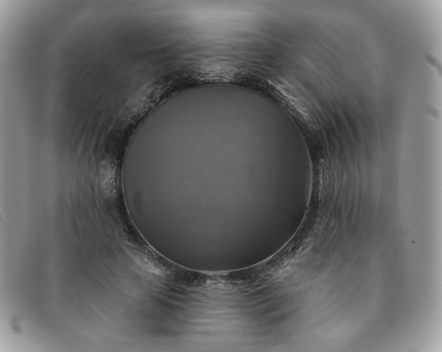 X0000091290641200708171346