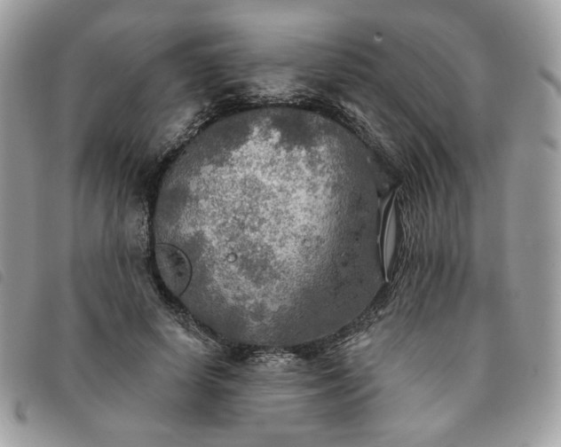 X0000091290642200708171346