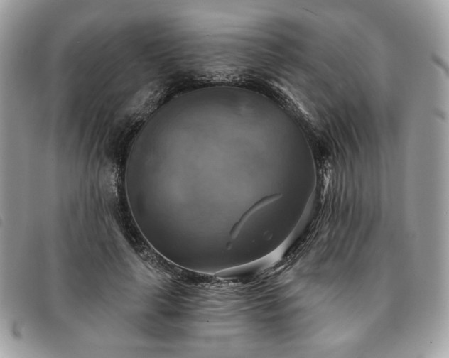 X0000091290643200708171346