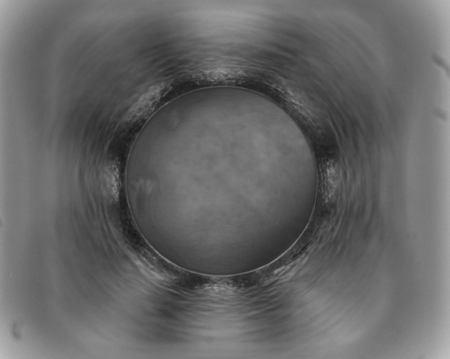 X0000091290644200708171346