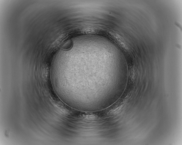 X0000091290645200708171346