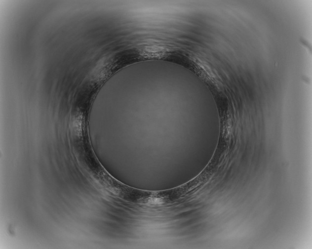 X0000091290647200708171346