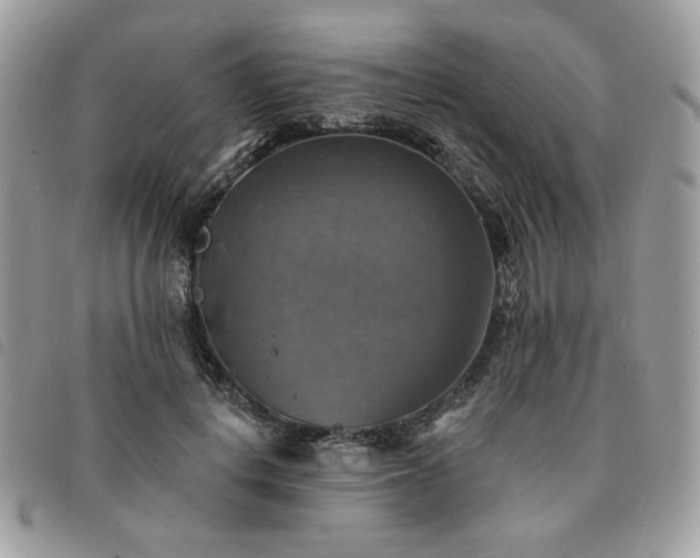 X0000091290648200708171346