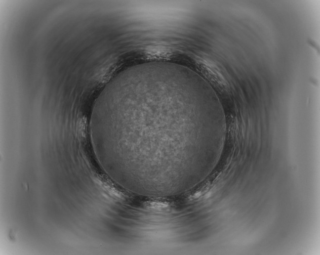 X0000091290649200708171346