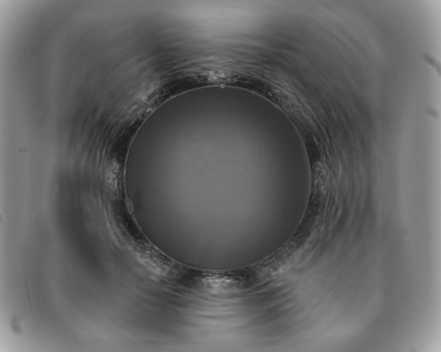 X0000091290650200708171346