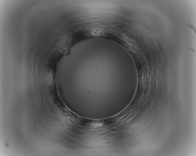 X0000091290651200708171346