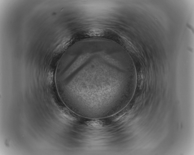 X0000091290652200708171346