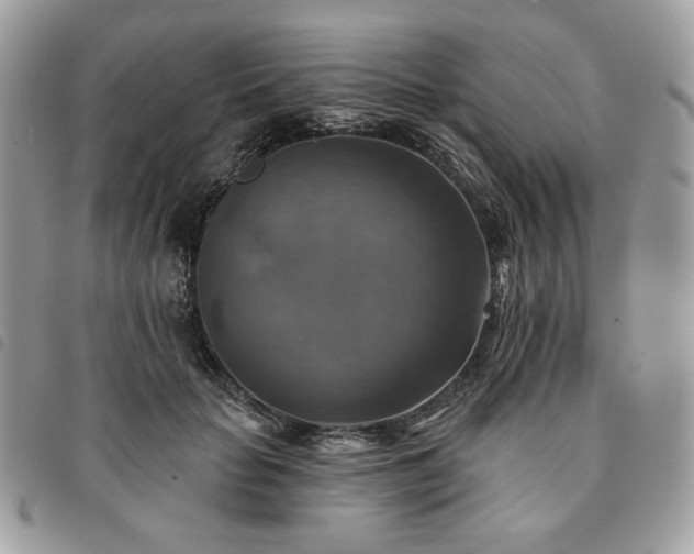 X0000091290653200708171346