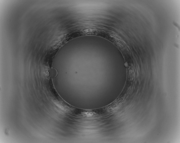 X0000091290654200708171346