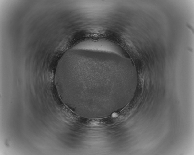 X0000091290657200708171346