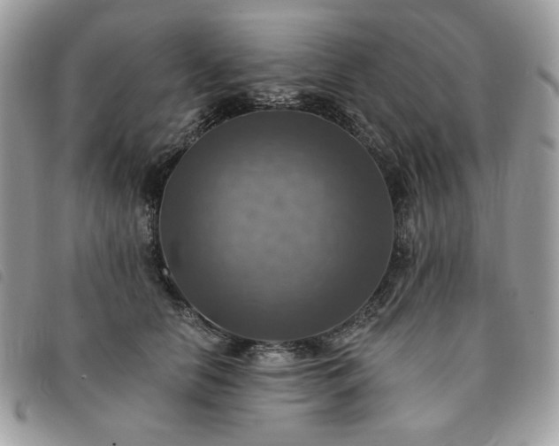 X0000091290658200708171346