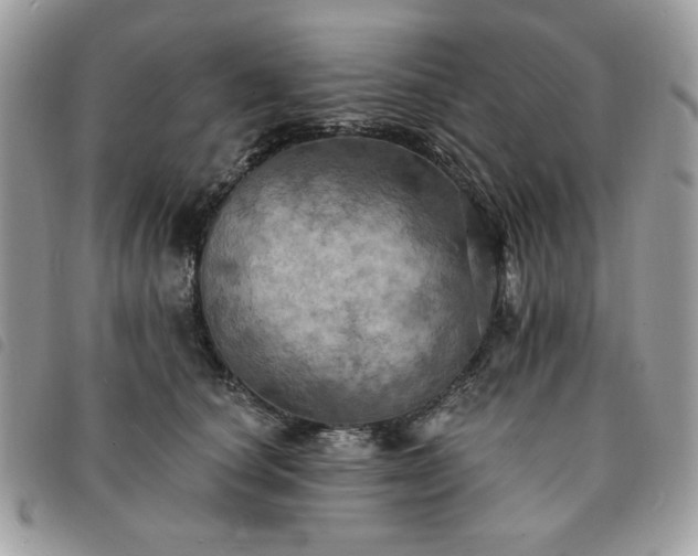 X0000091290660200708171346