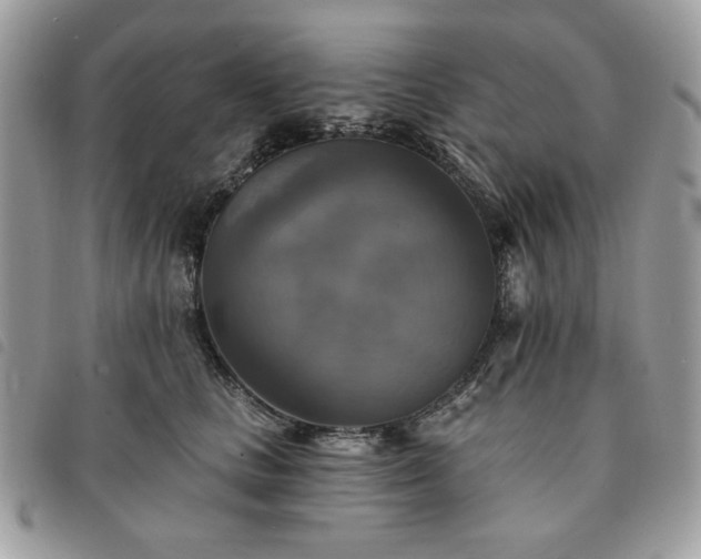 X0000091290661200708171346