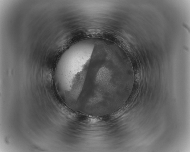 X0000091290662200708171346