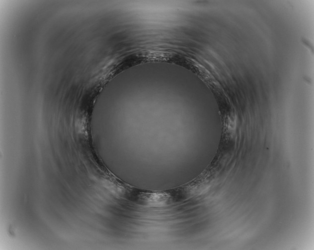 X0000091290663200708171346