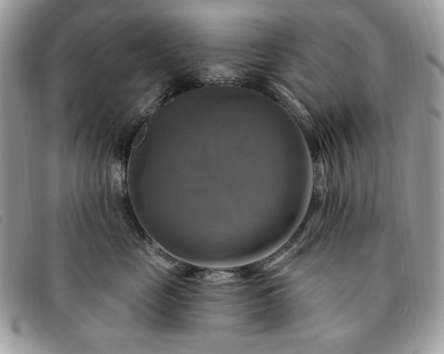 X0000091290669200708171347