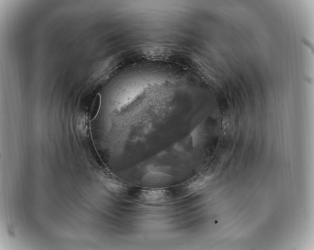 X0000091290671200708171347