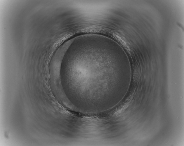 X0000091290673200708171346