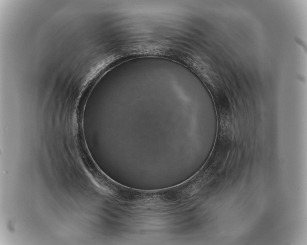 X0000091290674200708171346