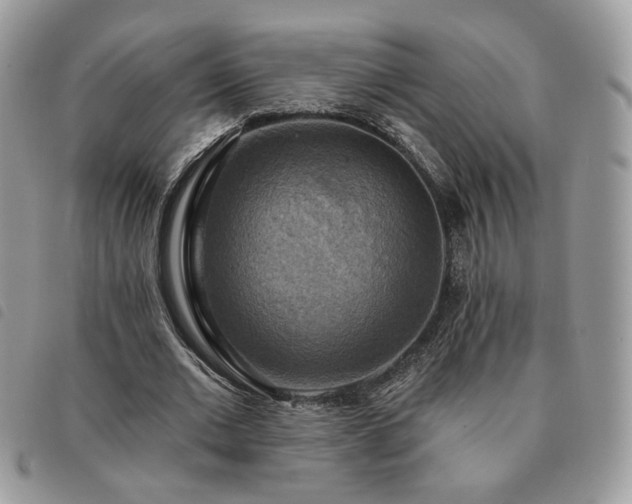 X0000091290677200708171346