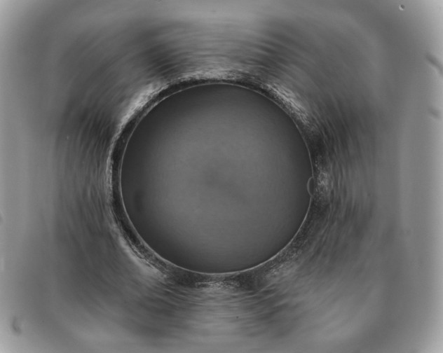 X0000091290678200708171346