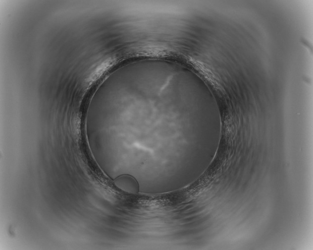 X0000091290679200708171346