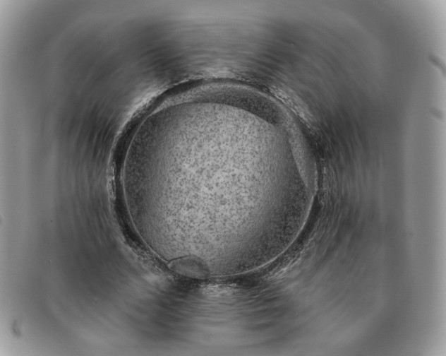 X0000091290680200708171346