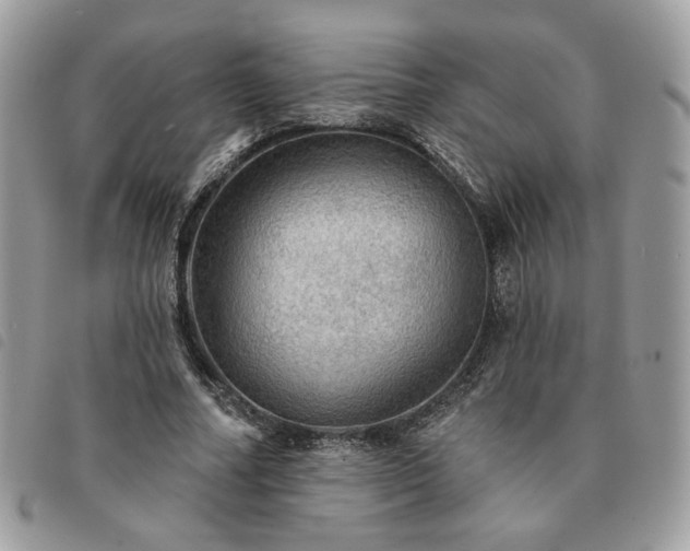 X0000091290682200708171346