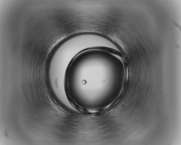 X0000091290684200708171346