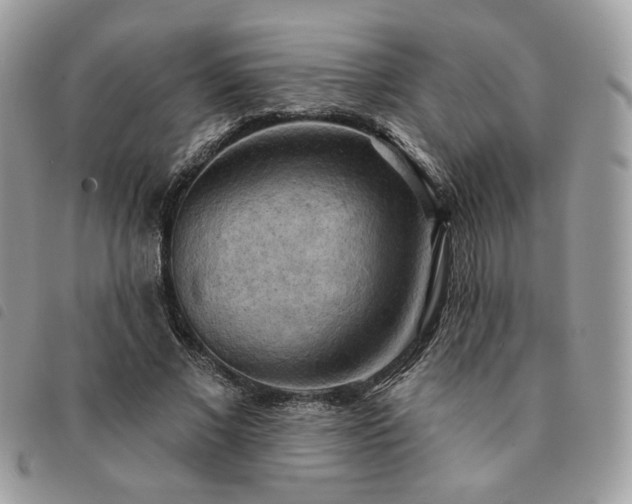 X0000091290685200708171346