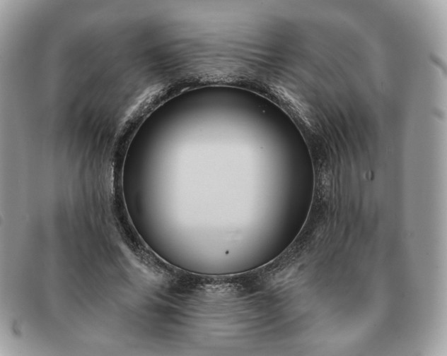 X0000091290686200708171346