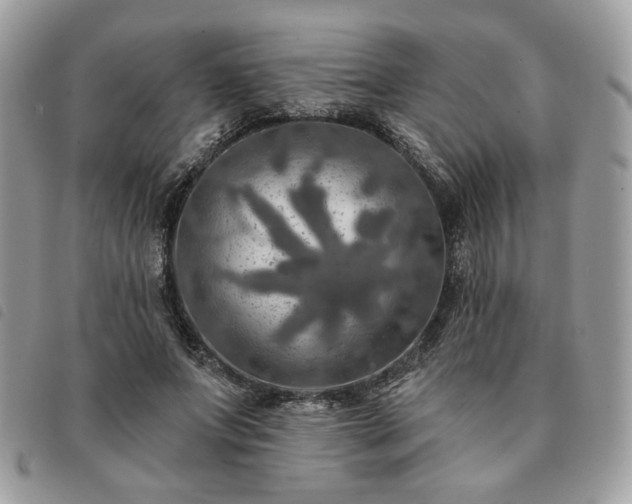 X0000091290687200708171346