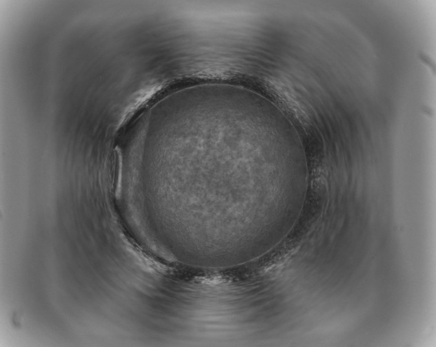 X0000091290688200708171346