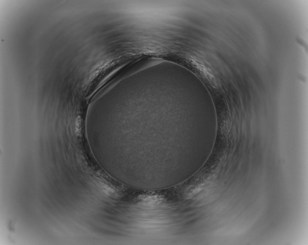 X0000091290689200708171345