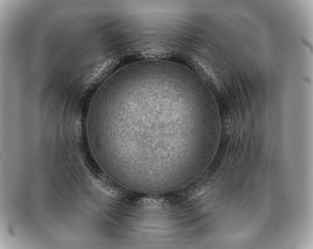 X0000091290690200708171345