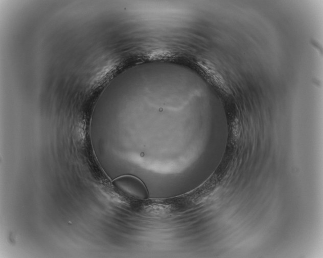 X0000091290691200708171345