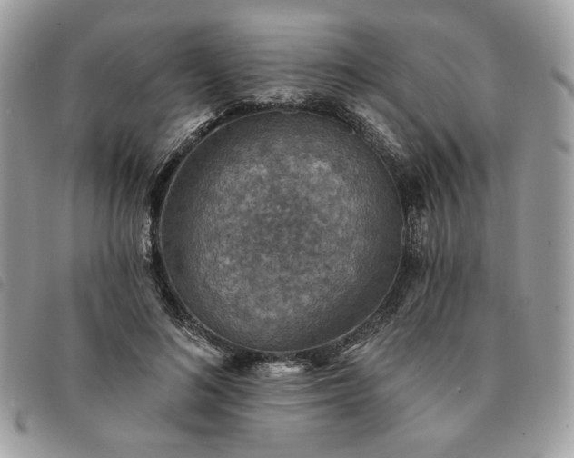 X0000091290692200708171345