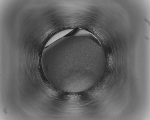 X0000091290693200708171345