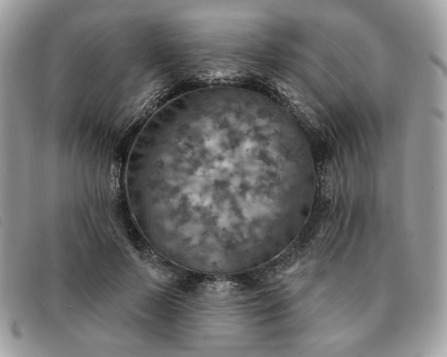 X0000091290695200708171345