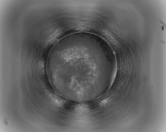 X0000091290696200708171345