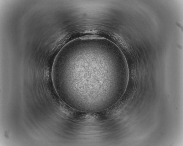 X0000091290697200708171345