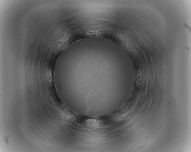 X0000091290699200708171345