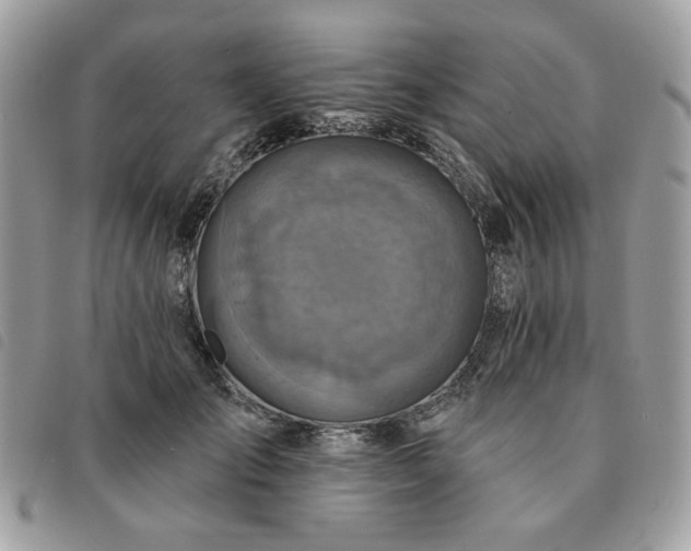 X0000091290701200708171345