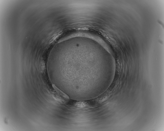 X0000091290704200708171345