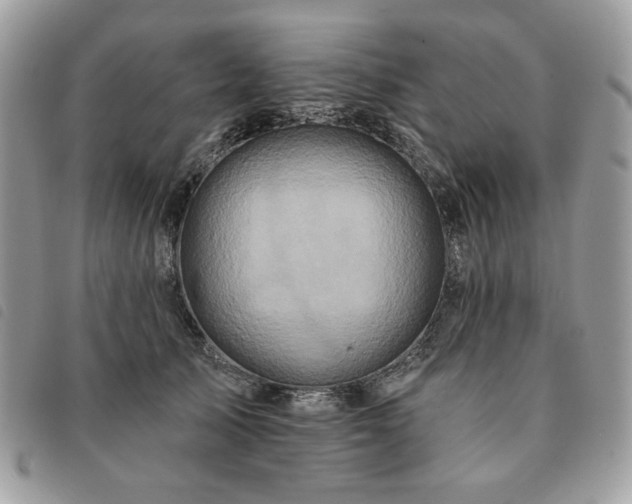 X0000091290705200708171345