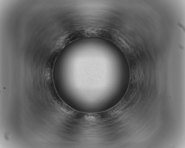 X0000091290706200708171345