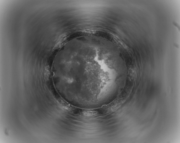 X0000091290707200708171345