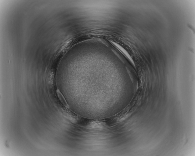 X0000091290708200708171345